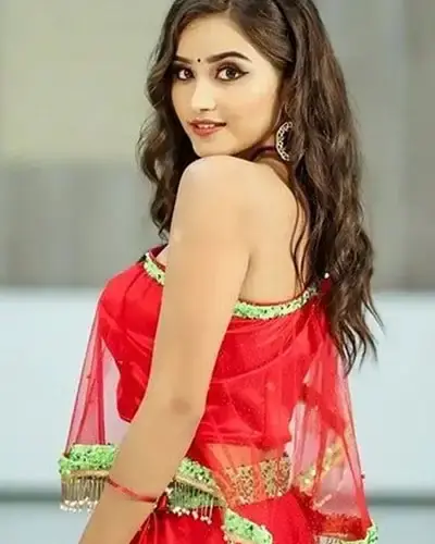 Escort In Mehsana